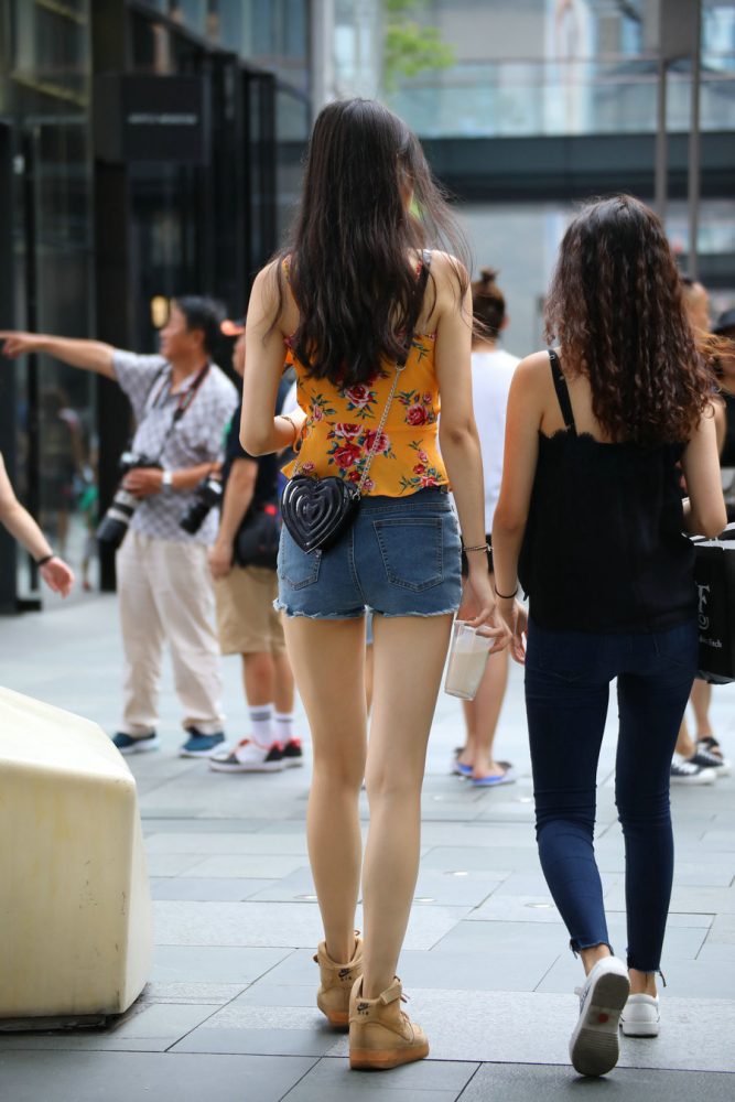 J2023 30P-255MB-好看资源