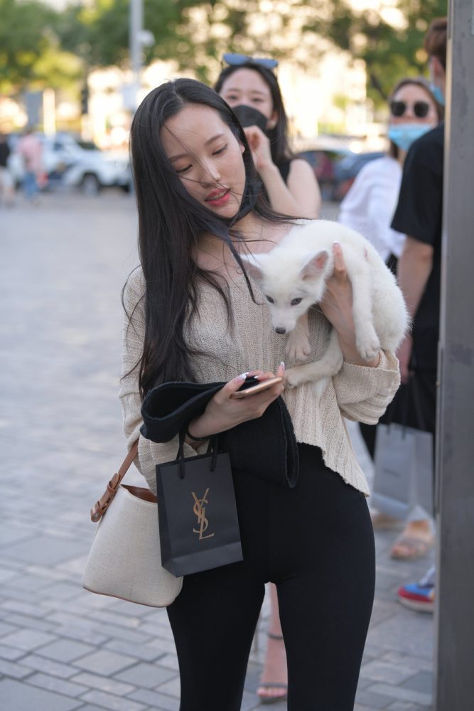 抱着小狗的漂亮女孩 J2106 136P-3.25GB-好看资源